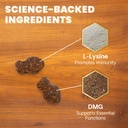 vetriscience-lysine-immunity-health-chew-5.jpg