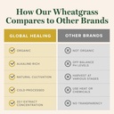 global-healing-wheat-grass-powder-organi-5.jpg