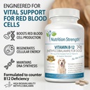 vitamin-b12-for-dogs-plus-folate-calcium-4.jpg
