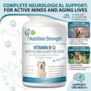 vitamin-b12-for-dogs-plus-folate-calcium-2.jpg