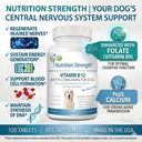 vitamin-b12-for-dogs-plus-folate-calcium-3.jpg