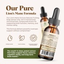 lion-s-mane-mushroom-extract-tincture-25-3.jpg