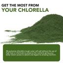 sun-chlorella-powder-green-superfood-alg-5.jpg