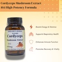 cordyceps-mushroom-10-1-extract-fruiting-3.jpg