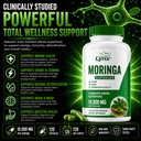 organic-moringa-10-000mg-nutrient-rich-s-6.jpg