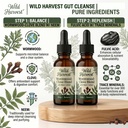 2-step-balance-replenish-gut-health-blen-3.jpg