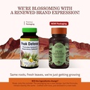 herbs-etc-peak-defense---support-a-healt-2.jpg