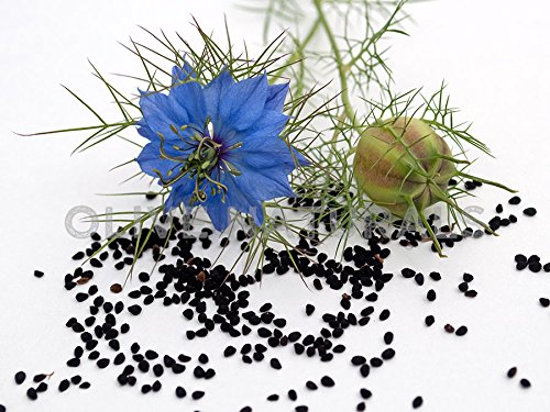 gye-nyame-black-seed-bitters-with-moring-2.jpg