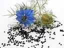 gye-nyame-black-seed-bitters-with-moring-2.jpg