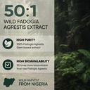 jungle-powders-fadogia-agrestis-powder-f-4.jpg