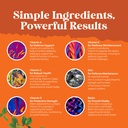 bundle-of-multivitamin-gummies-for-adult-6.jpg