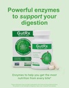 mealtime-digestive-enzymes-lactase-lipas-2.jpg