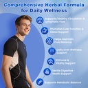 lymphatic-drainage-drops-liposomal-lymph-3.jpg