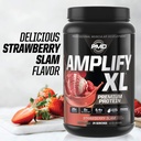 pmd-sports-amplify-xl-premium-whey-prote-5.jpg