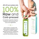 1-day-green-juice-cleanse-by-raw-fountai-5.jpg
