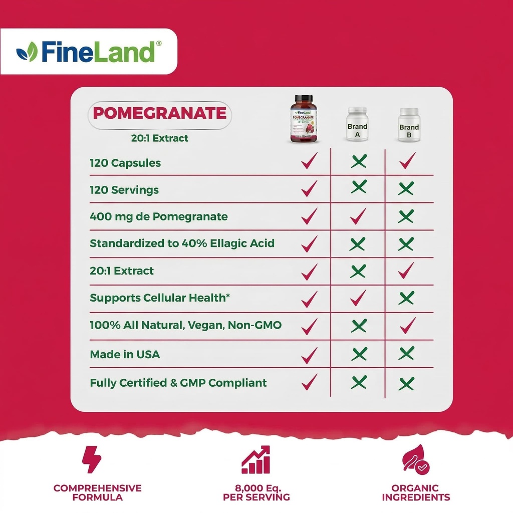 fineland-pomegranate-extract-20-1-40-ell-6.jpg
