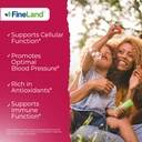 fineland-pomegranate-extract-20-1-40-ell-4.jpg
