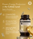 manna-vitality-shilajit-capsules-1000mg--4.jpg