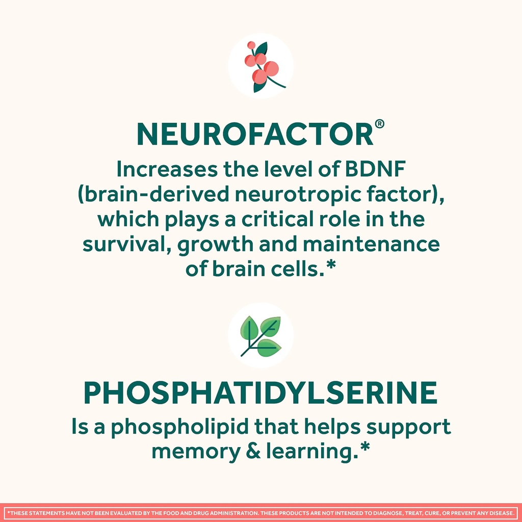 neuriva-original-brain-supplement-for-me-6.jpg