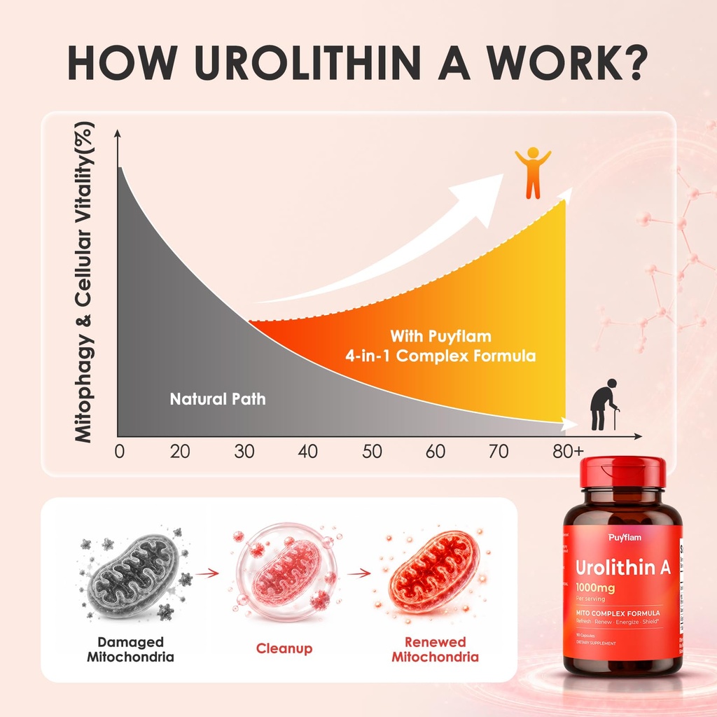 urolithin-a-supplement-1000mg-high-poten-6.jpg