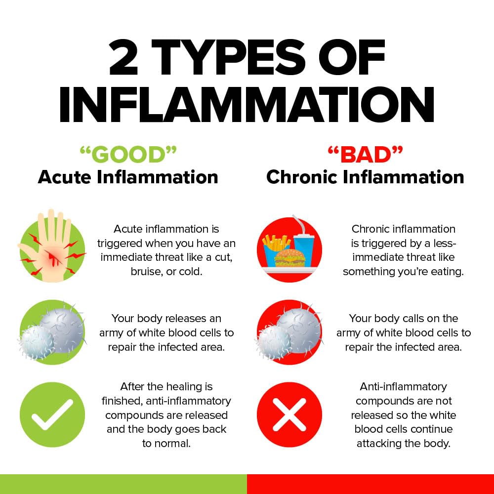 cerule-cyactiv-natural-inflammation-supp-4.jpg