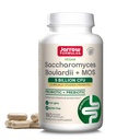 jarrow-formulas-probiotics-and-mastic-gu-2.jpg
