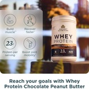 ancient-nutrition-grass-fed-whey-protein-4.jpg