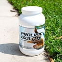 g6-sports-nutrition-prolific-isolate-all-6.jpg