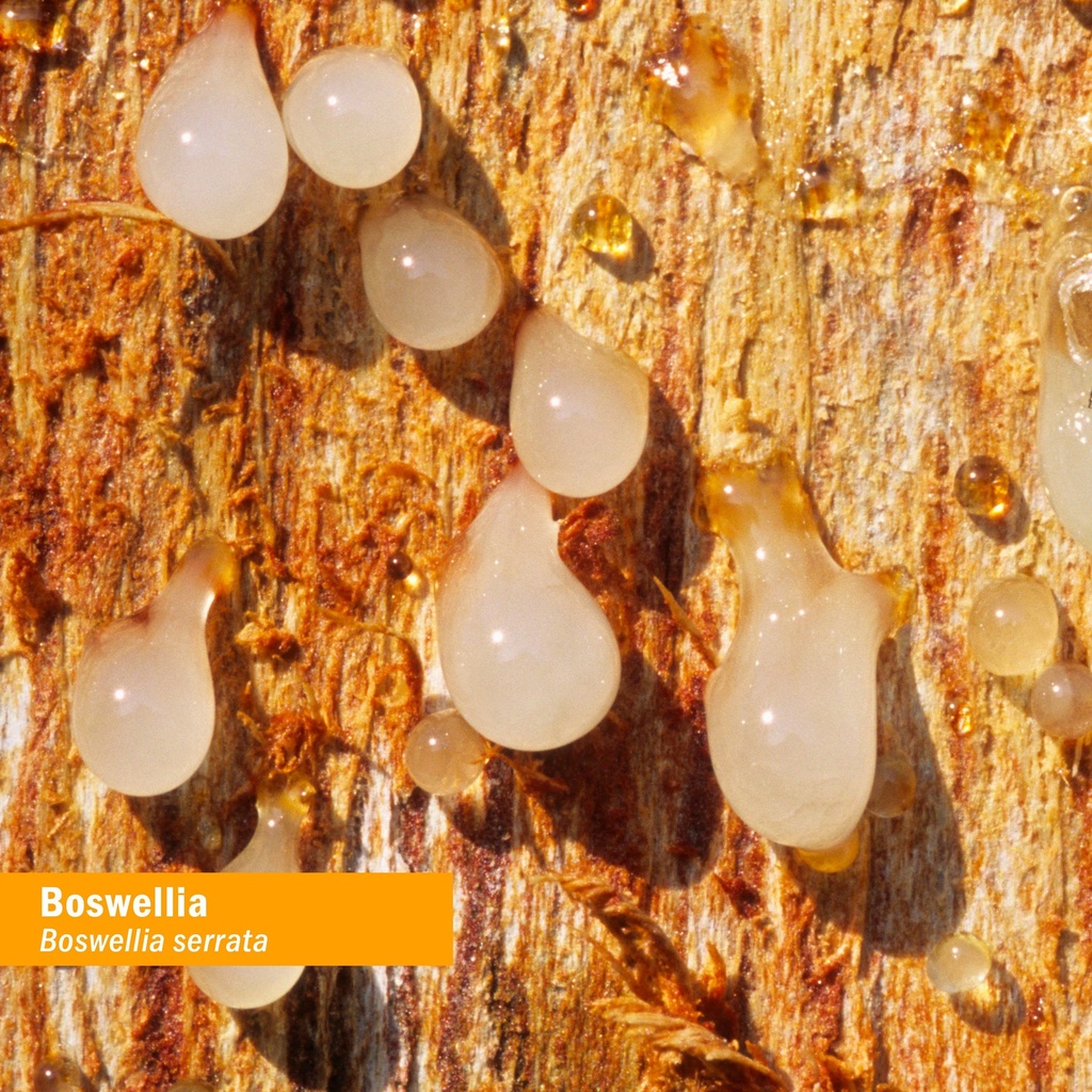 herb-pharm-certified-organic-boswellia-l-2.jpg
