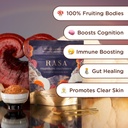 rasa-magnificent-mushrooms-organic-mushr-2.jpg