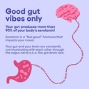 physician-s-choice-mood-support-probioti-4.jpg