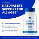 visionvance-capsules-official-vision-van-6.jpg