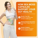 sea-moss-capsules---irish-sea-moss-with--6.jpg