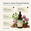 lymphatic-drainage-drops-for-bloat-relie-3.jpg