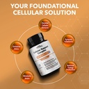 real-science-cellular-support-complex-ce-3.jpg