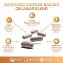real-science-cellular-support-complex-ce-4.jpg