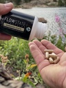 flow-state-lifestyles-mushroom-10x-shroo-4.jpg