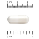 magnesium-bisglycinate-high-absorption-a-6.jpg
