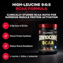 allmax-aminocore-bcaa-powder-for-workout-2.jpg