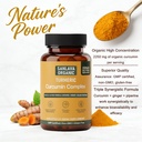 turmeric-3-in-1-complex-with-curcumin-gi-6.jpg