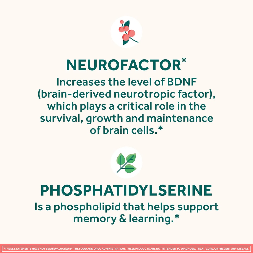 neuriva-original-brain-supplement-for-me-4.jpg