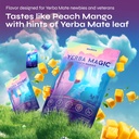 yerba-mate-tea-yerba-magic-5-in-1-stick--6.jpg