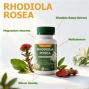 rhodiola-rosea-capsules-500mg-natural-su-2.jpg