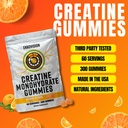 ekkovision-creatine-monohydrate-gummies--2.jpg