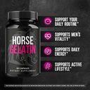 3-pack-horse-gelatin-capsules-official-h-3.jpg