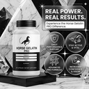 2-pack-horse-gelatin-capsules-official-h-6.jpg