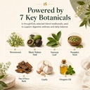 lumvelle-wild-harvested-wormwood-herbal--4.jpg