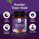 sam-e-200mg-mood-support-supplement-s-ad-2.jpg