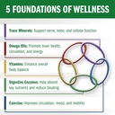 bio-35-300ct-iron-gluten-soy-free-daily--3.jpg