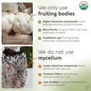 longevity-botanicals-organic-lion-s-mane-5.jpg